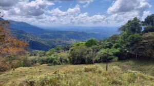 8100 Sustainable Development Farm Balsar 21