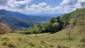 8100 Sustainable Development Farm Balsar 22