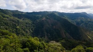 8100 Sustainable Development Farm Balsar 23