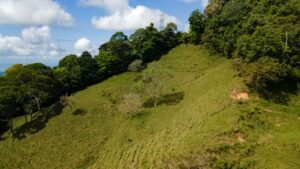 8100 Sustainable Development Farm Balsar 24