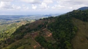 8100 Sustainable Development Farm Balsar 29