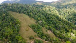 8100 Sustainable Development Farm Balsar 30