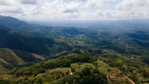 8100 Sustainable Development Farm Balsar 32