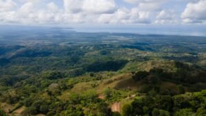 8100 Sustainable Development Farm Balsar 33