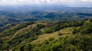 8100 Sustainable Development Farm Balsar 35