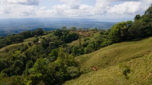 8100 Sustainable Development Farm Balsar 37