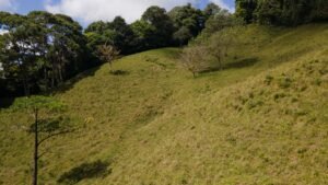 8100 Sustainable Development Farm Balsar 38