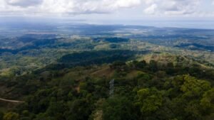 8100 Sustainable Development Farm Balsar 40