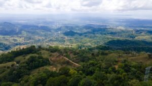 8100 Sustainable Development Farm Balsar 41