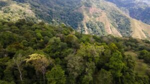 8100 Sustainable Development Farm Balsar 42