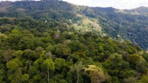 8100 Sustainable Development Farm Balsar 43