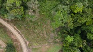 8100 Sustainable Development Farm Balsar 44