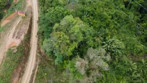 8100 Sustainable Development Farm Balsar 45