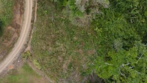 8100 Sustainable Development Farm Balsar 46