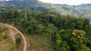 8100 Sustainable Development Farm Balsar 47