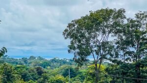 8161 House for Sale in Ojochal 08