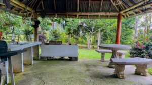 8161 House for Sale in Ojochal 36