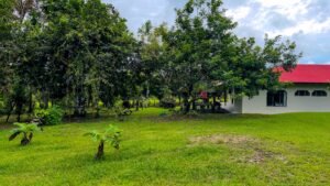 8161 House for Sale in Ojochal 39