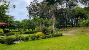 8161 House for Sale in Ojochal 47