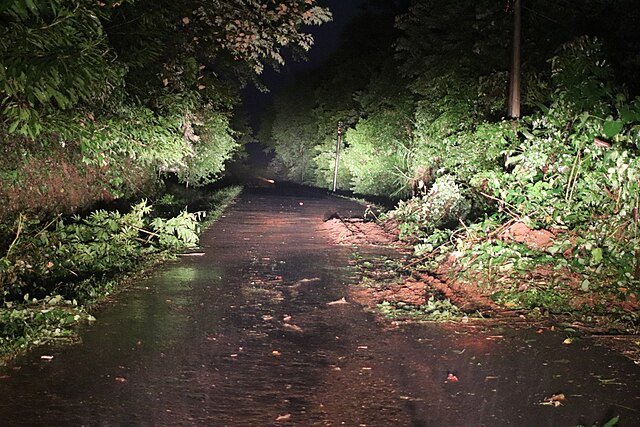 Landslips are common in our area - especially when it rains. Under reduced visibility, it is easy to miss such an obstruction - or a downed tree, stalled car or washed-out section of road. c/o LuchoCR, wikicommons.
