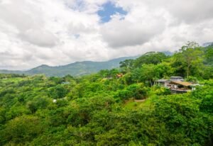 DJI_20250827095354_0105_D