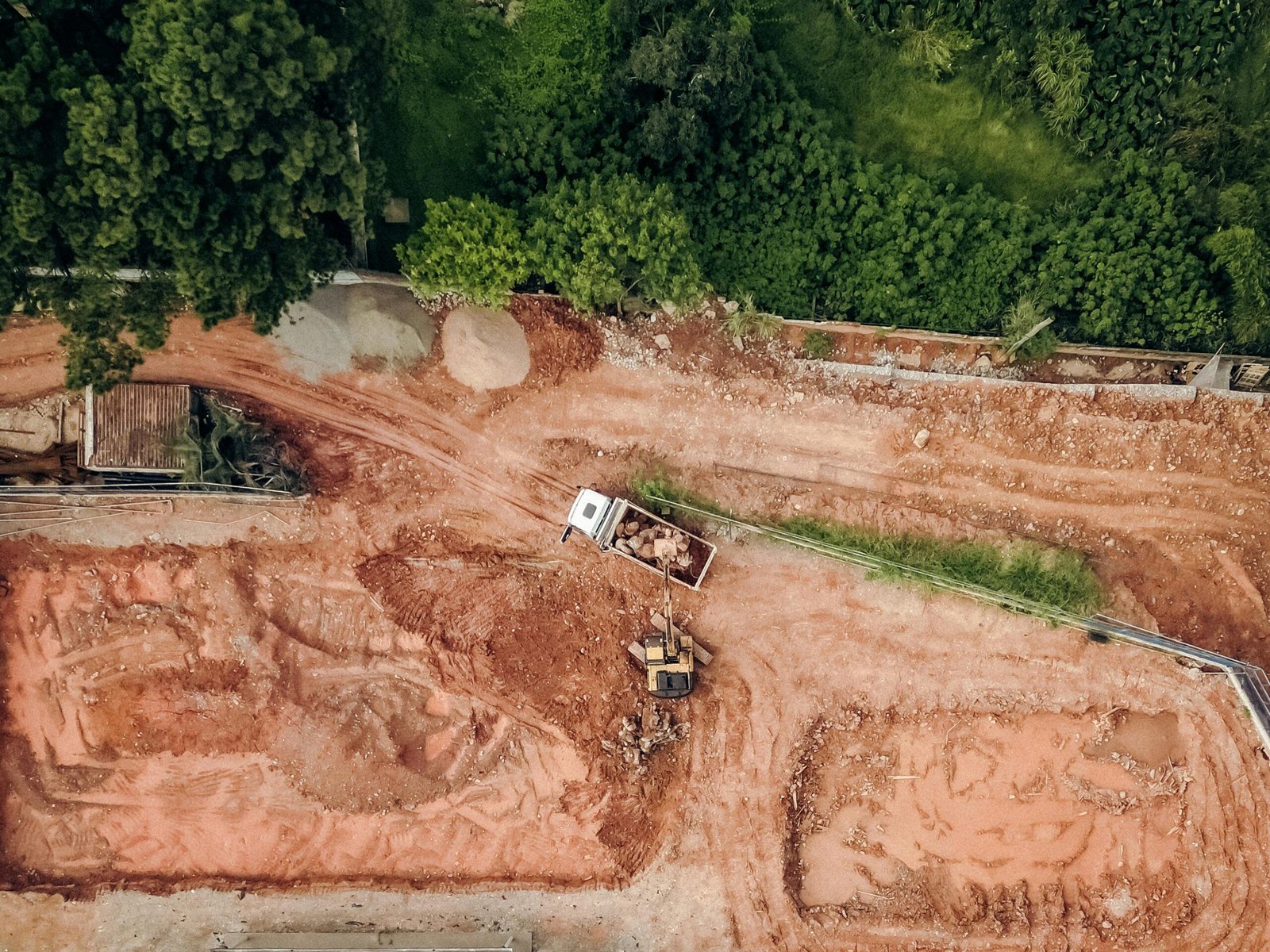 Habitat fragmentation = more inbreeding and more roads to cross. c/o Gezer Amorim, pexels. 