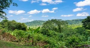 Lagunas-3-Bed-OV-Mountain-Home_31-1