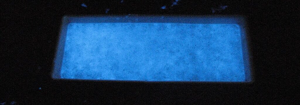A tank of glowing Ostracods. c/o Almandine, wikicommons