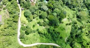 Photo 26-10-24, 12 10 31 PM