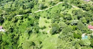 Photo 26-10-24, 12 12 42 PM