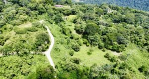 Photo 26-10-24, 12 14 40 PM