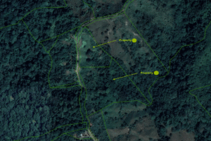 Screenshot 2025-03-10 153446