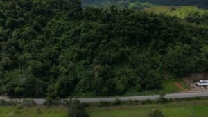 WhatsApp Image 2025-06-17 at 10.14.50_6c87755b