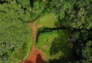 dji_fly_20241230_103716_0504_1735576984500_photo