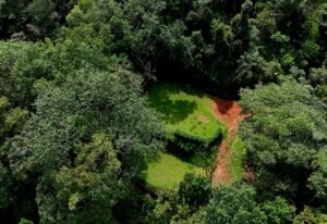 dji_fly_20241230_103730_0505_1735576990579_photo