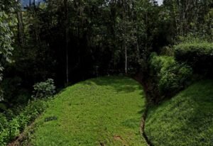 dji_fly_20241230_104046_0511_1735577019533_photo