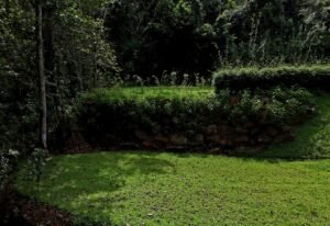 dji_fly_20241230_104108_0512_1735577023304_photo