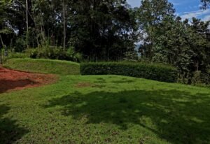 dji_fly_20241230_104130_0514_1735577031393_photo