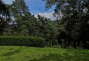 dji_fly_20241230_104154_0515_1735577035581_photo