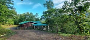 20250521_063855 (Large)