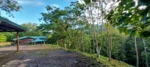 20250521_063922 (Large)