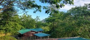 20250521_064020 (Large)