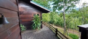 20250521_064345 (Large)