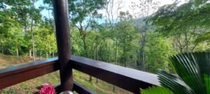 20250521_064410 (Large)