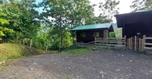 20250521_064554 (Large)