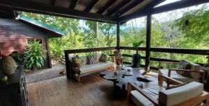 20250521_073041 (Large)