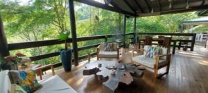 20250521_073647 (Large)