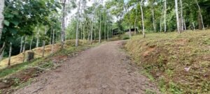 20250521_085711 (Large)