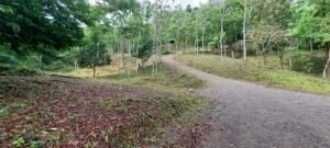 20250521_085808 (Large)