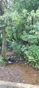 20250521_085832 (Large)